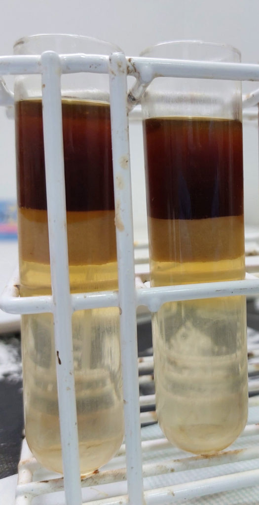 mcht-grasas-aceites-biodiesel-reciclaje-subproductos-economia-circular