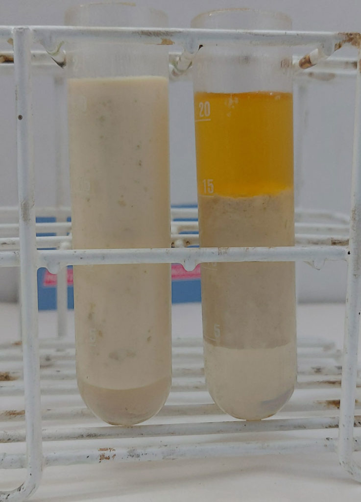 mcht-reciclaje-aceites-grasas-biodiesel