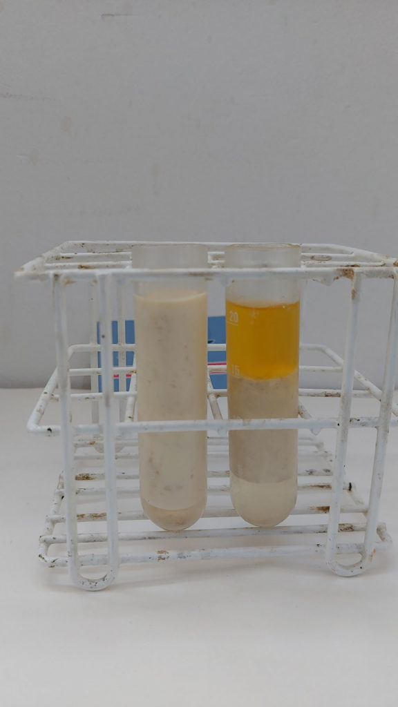 mcht-reciclaje-aceites-grasas-biodiesel-econiomia-circular