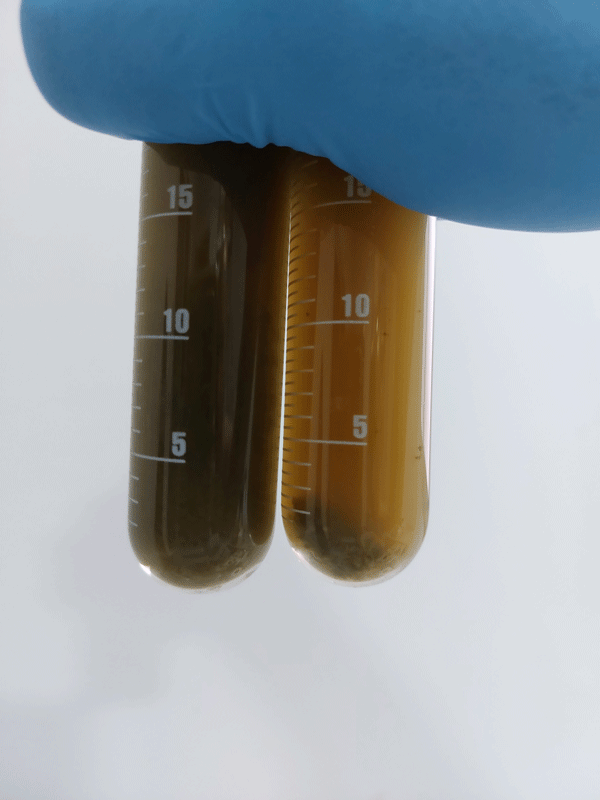 valorizacion-fangos-purines-economia-circular-mcht